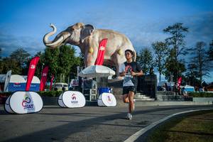 BIB: 
                            <button type="button" onclick="openModal(26541686)" class="btn btn-primary btn-sm float-right btn-popup" data-toggle="modal" data-target=".modal-high-quality">
                        <i class="fas fa-shopping-cart"></i> Add to Cart
                    </button>
                                            <button type="button" onclick="isThisMe(26541686, true)" class="btn btn-success btn-sm float-right btn-popup btn-isme hidden" data-toggle="tooltip" data-placement="bottom" title="นี่คือรูปของคุณใช่ไหม คลิกที่นี่เพื่อเอาเข้าอัลบั้ม">
                        <i class="fas fa-plus"></i> Add to album
                    </button>
                    <button type="button" onclick="isThisMe(26541686, false)" class="btn btn-warning btn-sm float-right btn-popup btn-isnotme hidden">
                        <i class="fas fa-ban"></i> Remove from album
                    </button>